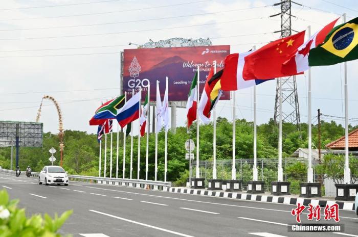 印尼巴厘島道路上G20成員國的國旗及歡迎海報(bào)。 中新社記者 李志華 攝