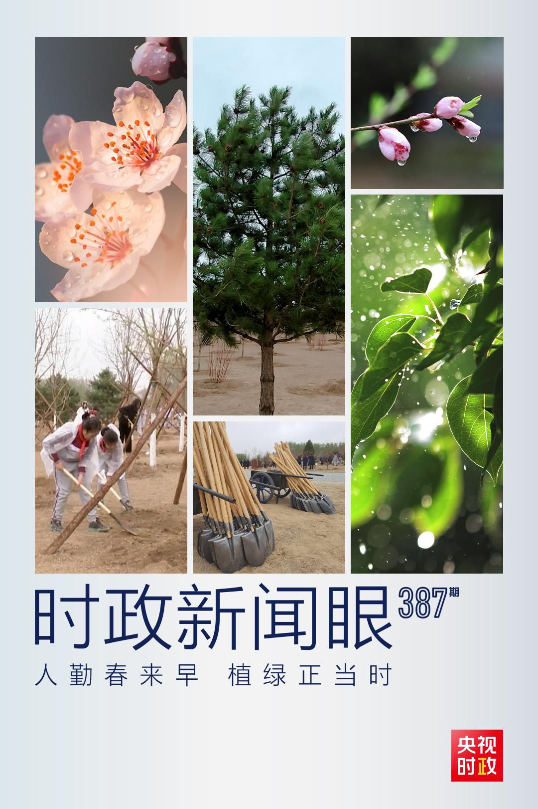 在今年首都義務(wù)植樹現(xiàn)場，習(xí)近平這三句話飽含深意